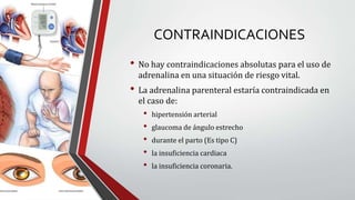 CONTRAINDICACIONES
• No hay contraindicaciones absolutas para el uso de
adrenalina en una situación de riesgo vital.
• La adrenalina parenteral estaría contraindicada en
el caso de:
• hipertensión arterial
• glaucoma de ángulo estrecho
• durante el parto (Es tipo C)
• la insuficiencia cardiaca
• la insuficiencia coronaria.
 