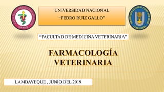 UNIVERSIDAD NACIONAL
“PEDRO RUIZ GALLO”
“FACULTAD DE MEDICINA VETERINARIA”
LAMBAYEQUE , JUNIO DEL 2019
 