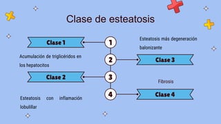 Clase de esteatosis
1
Acumulación de triglicéridos en
los hepatocitos
Clase 1
2
Esteatosis más degeneración
balonizante
Clase 3
3
Esteatosis con inflamación
lobulillar
Clase 2
4
Fibrosis
Clase 4
 