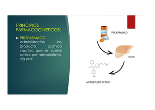 Profarmaco farmacología 1 básico primeros temas deg | PDF