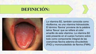 La vitamina B2, también conocida como
riboflavina, es una vitamina hidrosoluble.
El término ‘flavina’ proviene de la palabra
latina ‘flavus’ que se refiere al color
amarillo de esta vitamina. La vitamina B2
está presente en el cuerpo humano sobre
todo como componente integral de las
coenzimas flavina adenina dinucleótido
(FAD) y mononucleótido de flavina (FMN).
DEFINICIÓN:
 