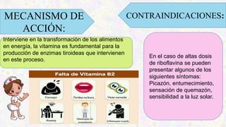 Interviene en la transformación de los alimentos
en energía, la vitamina es fundamental para la
producción de enzimas tiroideas que intervienen
en este proceso.
MECANISMO DE
ACCIÓN:
CONTRAINDICACIONES:
En el caso de altas dosis
de riboflavina se pueden
presentar algunos de los
siguientes síntomas:
Picazón, entumecimiento,
sensación de quemazón,
sensibilidad a la luz solar.
 