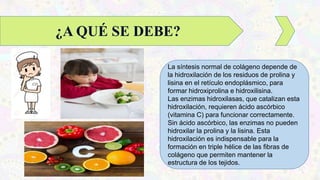 La síntesis normal de colágeno depende de
la hidroxilación de los residuos de prolina y
lisina en el retículo endoplásmico, para
formar hidroxiprolina e hidroxilisina.
Las enzimas hidroxilasas, que catalizan esta
hidroxilación, requieren ácido ascórbico
(vitamina C) para funcionar correctamente.
Sin ácido ascórbico, las enzimas no pueden
hidroxilar la prolina y la lisina. Esta
hidroxilación es indispensable para la
formación en triple hélice de las fibras de
colágeno que permiten mantener la
estructura de los tejidos.
¿A QUÉ SE DEBE?
 