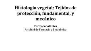 Histología vegetal: Tejidos de
protección, fundamental, y
mecánico
Farmacobotánica
Facultad de Farmacia y Bioquímica
 