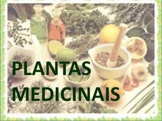 PLANTAS
MEDICINAIS
             1
 