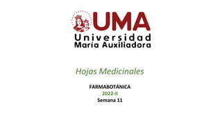 Hojas Medicinales
FARMABOTÁNICA
2022-II
Semana 11
 