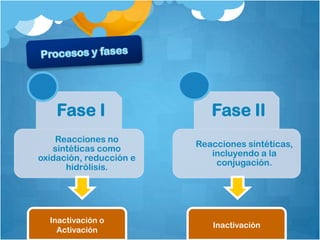 Fase I                  Fase II
    Reacciones no
                         Reacciones sintéticas,
   sintéticas como
                            incluyendo a la
oxidación, reducción e
                             conjugación.
      hidrólisis.




  Inactivación o
                            Inactivación
    Activación
 