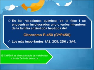 En las reacciones químicas de la fase I se
         encuentran involucrados uno o varios miembros
         de la familia enzimática hepática del

                   Citocromo P-450 (CYP450)
         Los más importantes 1A2, 2C9, 2D6 y 3A4.



El CYP3A4 es el responsable de metabolizar
        más del 54% de fármacos
 