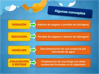 Adición de oxígeno o perdida de hidrógeno



Perdida de oxígeno o adición de hidrogeno



  Descomposición de una sustancia por
         intermedio de agua


  Combinación de una droga con otras
  sustancias formadas en el organismo
 