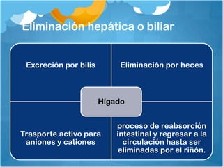 Eliminación hepática o biliar


 Excreción por bilis        Eliminación por heces



                       Hígado


                           proceso de reabsorción
Trasporte activo para      intestinal y regresar a la
 aniones y cationes          circulación hasta ser
                            eliminadas por el riñón.
 
