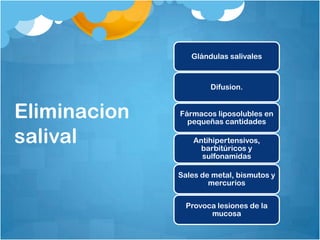 Glándulas salivales



                      Difusion.


Eliminacion   Fármacos liposolubles en
                pequeñas cantidades

salival           Antihipertensivos,
                    barbitúricos y
                    sulfonamidas

              Sales de metal, bismutos y
                      mercurios


                Provoca lesiones de la
                      mucosa
 