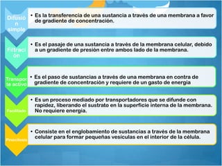 Difusió • Es la transferencia de una sustancia a través de una membrana a favor
          de gradiente de concentración.
   n
simple

         • Es el pasaje de una sustancia a través de la membrana celular, debido
Filtraci   a un gradiente de presión entre ambos lado de la membrana.
   ón



Transpor • Es el paso de sustancias a través de una membrana en contra de
te activo  gradiente de concentración y requiere de un gasto de energía


              • Es un proceso mediado por transportadores que se difunde con
                rapidez, liberando el sustrato en la superficie interna de la membrana.
Facilitado      No requiere energía.


              • Consiste en el englobamiento de sustancias a través de la membrana
Pinocitosis
                celular para formar pequeñas vesículas en el interior de la célula.
 