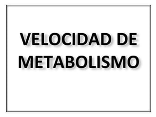 VELOCIDAD DE
METABOLISMO
 