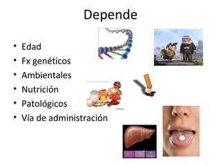 Depende

•   Edad
•   Fx genéticos
•   Ambientales
•   Nutrición
•   Patológicos
•   Vía de administración
 