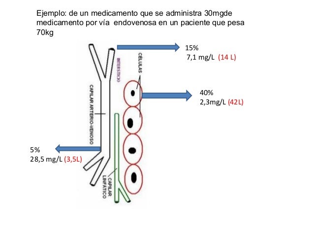 Farmacocinetica Farmacocinetica