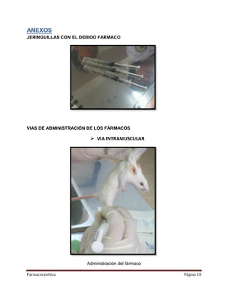 Farmacocinética Página 10
ANEXOS
JERINGUILLAS CON EL DEBIDO FARMACO
VIAS DE ADMINISTRACIÓN DE LOS FÁRMACOS
 VIA INTRAMUSCULAR
Administración del fármaco
 