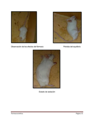 Farmacocinética Página 11
Observación de los efectos del fármaco Pérdida del equilibrio
Estado de sedación
 