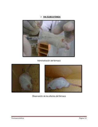 Farmacocinética Página 12
 VIA SUBCUTÁNEA
Administración del fármaco
Observación de los efectos del fármaco
 