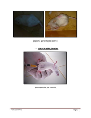 Farmacocinética Página 13
Espasmo generalizado (estirón)
 VIA INTRAPERITONEAL
Administración del fármaco
 