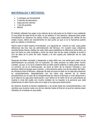 Farmacocinética Página 5
MATERIALES Y MÉTODOS:
 3 Jeringas con fenobarbital
 3 ratones de laboratorio
 Caja para los ratones
 1 par de guantes
 Mandil
El método utilizado fue coger a los ratones de la cola justo en la mitad ni muy adelante
ni muy atrás de esta forma el ratón no se soltaría ni nos atacaría, después para poder
inmovilizarlo se utilizaron los dedos índice y pulgar para sostenerlo por detrás de las
orejas (nuca), debía ser exactamente en ese punto ya que si no lo hacíamos podría
girar su cabeza y mordernos.
Hecho esto el ratón estaría inmovilizado, y lo siguiente es marcar su cola para poder
diferenciar las tres vías de administración del fármaco. En nuestro caso utilizamos
características físicas visibles de cada ratón para establecer la diferencia entre ellos, ya
que uno tenia su cola completa y entre los otros dos de las colas cortadas la punta a
uno de ellos se lo pinto de color rosado y el otro quedo por distinción de su cola
cortada.
Después de haber marcado y designado a cada ratón con una señal para cada vía de
administración se procede con la inyección. En este proceso se debe tener mucho
cuidado, ya que, si no se lo sostiene bien al ratón podría soltarse y hasta podría atacar.
La primera vía es la intramuscular, se toma al ratón de la manera indicada y una
persona utiliza la jeringa para inyectar, y otra persona estira una de las patas del ratón,
se introduce todo el fármaco, después de esto se pone al ratón en la caja para observar
su comportamiento. Seguidamente con los otros dos ratones es el mismo
procedimiento en el caso de la intraperitoneal se coloca el fármaco a nivel abdominal y
se lo deja en la caja para observación y por último en el ratón de la vía subcutánea se
inyecta a nivel del cuello con mucho cuidado de no inyectar a la persona que está
sosteniendo al ratón hecho esto se lo deja en la caja para observación.
Se observa durante el tiempo establecido y se anota todos los comportamientos y los
cambios que tuvieron cada uno de los ratones hasta el final en el que los ratones sean
retirados en el estado en que estén.
 