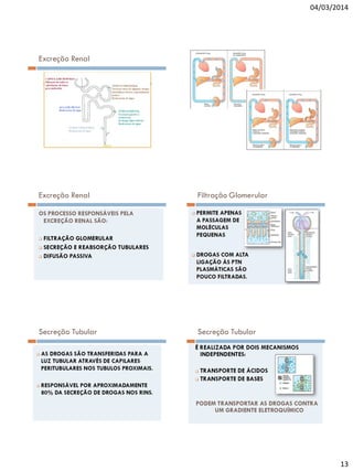 04/03/2014

Excreção Renal

Excreção Renal

Filtração Glomerular

Secreção Tubular

Secreção Tubular

13

 