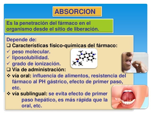 higado metabolismo opciones