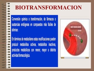 BIOTRANSFORMACION 