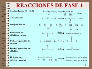 REACCIONES DE FASE 1 