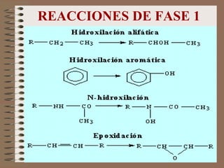 REACCIONES DE FASE 1 