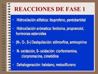 REACCIONES DE FASE 1 