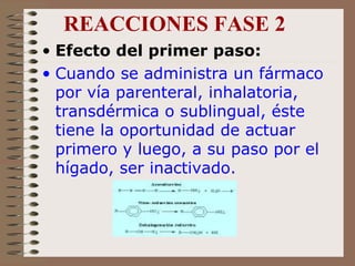 REACCIONES FASE 2 Efecto del primer paso:   Cuando se administra un fármaco por vía parenteral, inhalatoria, transdérmica o sublingual, éste tiene la oportunidad de actuar primero y luego, a su paso por el hígado, ser inactivado.  