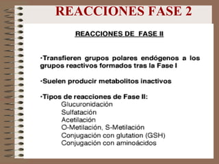 REACCIONES FASE 2 