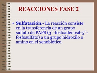 REACCIONES FASE 2 Sulfatación .- La reacción consiste en la transferencia de un grupo sulfato de PAPS (3´-fosfoadenosil-5´-fosfosulfato) a un grupo hidroxilo o amino en el xenobiótico.  