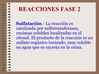 REACCIONES FASE 2 Sulfatación .- La reacción es catalizada por sulfotransferasas, enzimas solubles localizadas en el citosol. El producto de la reacción es un sulfato orgánico ionizado, muy soluble en agua que se excreta en la orina. 