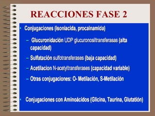 REACCIONES FASE 2 
