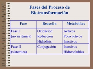 Fases del Proceso de Biotransformación Inactivos Hidrosolubles Conjugación Fase II (sistémica) Activos Poco activos Inactivos Oxidación Reducción Hidrólisis Fase I (no sistémica) Metabolítos Reacción Fase 