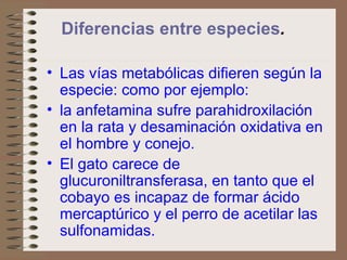Diferencias entre especies .   Las vías metabólicas difieren según la especie: como por ejemplo: la anfetamina sufre parahidroxilación en la rata y desaminación oxidativa en el hombre y conejo.  El gato carece de glucuroniltransferasa, en tanto que el cobayo es incapaz de formar ácido mercaptúrico y el perro de acetilar las sulfonamidas. 