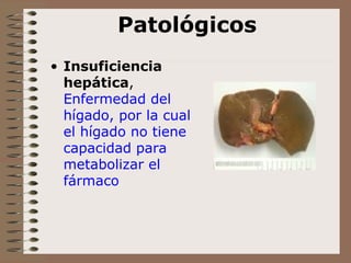 Patológicos Insuficiencia hepática ,  Enfermedad del hígado, por la cual el hígado no tiene capacidad para metabolizar el fármaco 