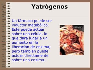 Yatrógenos Un fármaco puede ser inductor metabólico. Este puede actuar sobre una célula, lo que dará lugar a un aumento en la liberación de enzima; pero también puede actuar directamente sobre una enzima.. 