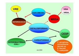 ano 2004
CEFALOSPORINAS
ENTEROCOCOS
MRSA
VANCOMICINA
VISA
VRSA
VRE
CESP
ENTEROBACTÉRIAS
ESBL+
CARBAPENEMAS
P. aeruginosa
Acinetobacter
Serratia sp
E. faecium
S. maltophilia
 