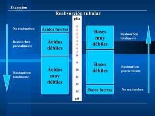Excreción Reabsorción tubular Ácidos fuertes Bases fuertes Ácidos débiles Bases débiles Ácidos muy débiles Bases muy débiles pKa 0 1 2 3 4 5 6 7 8 9 10 11 12 13 pH No reabsorben No reabsorben Reabsorben parcialmente Reabsorben parcialmente Reabsorben totalmente Reabsorben totalmente 