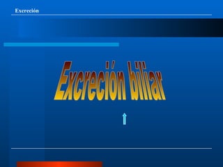 Excreción || Excreción biliar 