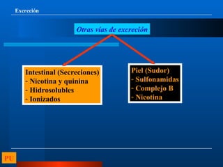 Excreción Otras vías de excreción Intestinal (Secreciones) Nicotina y quinina Hidrosolubles Ionizados Piel (Sudor) Sulfonamidas Complejo B Nicotina PU 