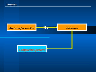 Excreción Biotransformación Fármaco Compuestos polares Rx 