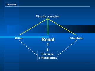 Excreción Vías de excreción Renal Biliar Glandular Fármaco o Metabolitos 