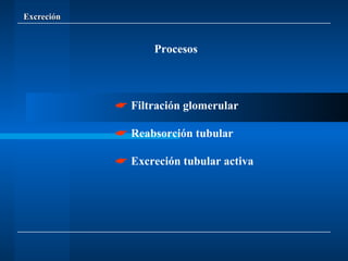 Excreción Procesos    Filtración glomerular    Reabsorción tubular    Excreción tubular activa 
