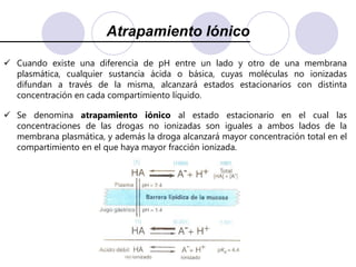 Factores determinantes de la Difusión Simplea) Liposolubilidad       Manteniendo constantes las otras variables, la velocidad de difusión simple es directamente proporcional a la liposolubilidad de la droga.       Para medir la liposolubilidad, se coloca una droga en una mezcla de un solvente no polar y un solvente polar. Se dejan separar las 2 fases y se mide la concentración de la droga en cada una de ellas. El cociente de ambas concentraciones se denomina Coeficiente de Partición lípido/agua.        Cuanto más alto es el coeficiente de partición,  más liposoluble es el fármaco.   b) Tamaño molecular       Manteniendo constantes las otras variables, la velocidad de difusión es inversamente proporcional al tamaño molecular: las moléculas de bajo peso molecular (moléculas pequeñas) difunden más rápidamente que las de mayor tamaño.    c) Ionización molecular       La mayoría de las drogas son ácidos o bases débiles, pudiendo presentarse en parte ionizadas y en parte no.  Las moléculas ionizadas (polares) se caracterizan por ser más hidrosolubles, mientras que las no ionizadas son más liposolubles.       La fracción no ionizada de los fármacos  determinan la velocidad de pasaje de una droga a través de las membranas: manteniendo constantes las otras variables, cuanto mayor es la fracción no ionizada, mayor es la  velocidad de pasaje de un fármaco a través de una membrana.       Para calcular la fracción no ionizada de una droga se necesita conocer:      - Si la droga es un ácido o una base      - pKa de la droga: valor de pH en el cual una droga presenta un el 50% de sus moléculas ionizadas y el otro 50% en estado no ionizado.       - pH del medio orgánico