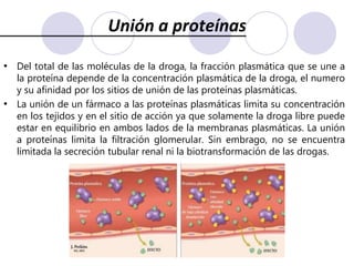 Distribución de fármacosEl fármaco disuelto en la sangre pasa de los capilares a los tejidos a favor del gradiente de concentración. Este pasaje de la droga depende de las características del fármaco (tamaño de la molécula, liposolubilidad y grado de ionización), de su unión a las proteínas plasmáticas, del flujo sanguíneo del órgano, de la luz capilar y de las características del endotelio capilar.Un fármaco muy liposoluble accederá más fácilmente a los órganos muy irrigados, como el cerebro, el corazón, el hígado o los riñones, más despacio en el músculo e ingresará con mayor lentitud a la grasa y otros tejidos poco irrigados, como las válvulas cardíacas.Cuando la concentración plasmática disminuye, el fármaco pasa de nuevo de los tejidos a los capilares a favor del gradiente de concentración.