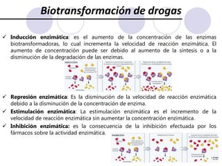 La mayor parte de los fármacos se metabolizan en el organismo humano a metabolitos, que pueden ser activos o inactivos. La velocidad con que se metaboliza cada fármaco, la variedad de sus metabolitos y su concentración dependen del patrón metabólico genéticamente establecido en cada individuo y de la influencia de numerosos factores fisiológicos, patológicos y iatrogénicos. De hecho, las diferencias en el metabolismo de los fármacos es el factor que más contribuye a que dosis iguales den lugar a niveles plasmáticos distintos en diferentes individuos.Biotransformación de drogasLas principales reacciones de biotransformación de drogas se clasifican según sean de funcionalización (Fase I) o de biosíntesis (Fase II). Las reacciones de fase I introducen o exponen un grupo funcional del fármaco original, generando la perdida de la actividad farmacológica. Las reacciones de fase II culminan con la formación de un enlace covalente entre un grupo funcional en el compuesto original y el ácido glucurónido, sulfatos, aminoácidos o acetato generando compuestos altamente polares, inactivos y que son excretados rápidamente por orina y heces.      Reacciones de Fase 1 (No Sintéticas)Oxidorreducción                                     