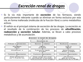 Conjugación con Ácido Acético